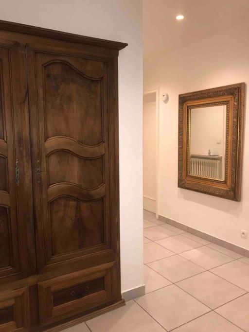 Appartement Des 3 Pays. 2 Mn De Bale+ Free Parking Saint-Louis  Exterior photo