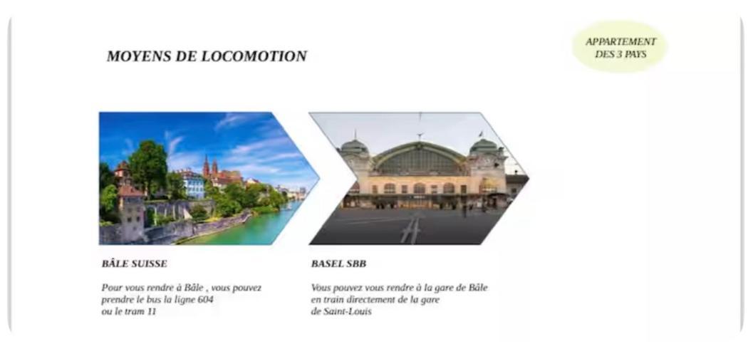 Appartement Des 3 Pays. 2 Mn De Bale+ Free Parking Saint-Louis  Exterior photo